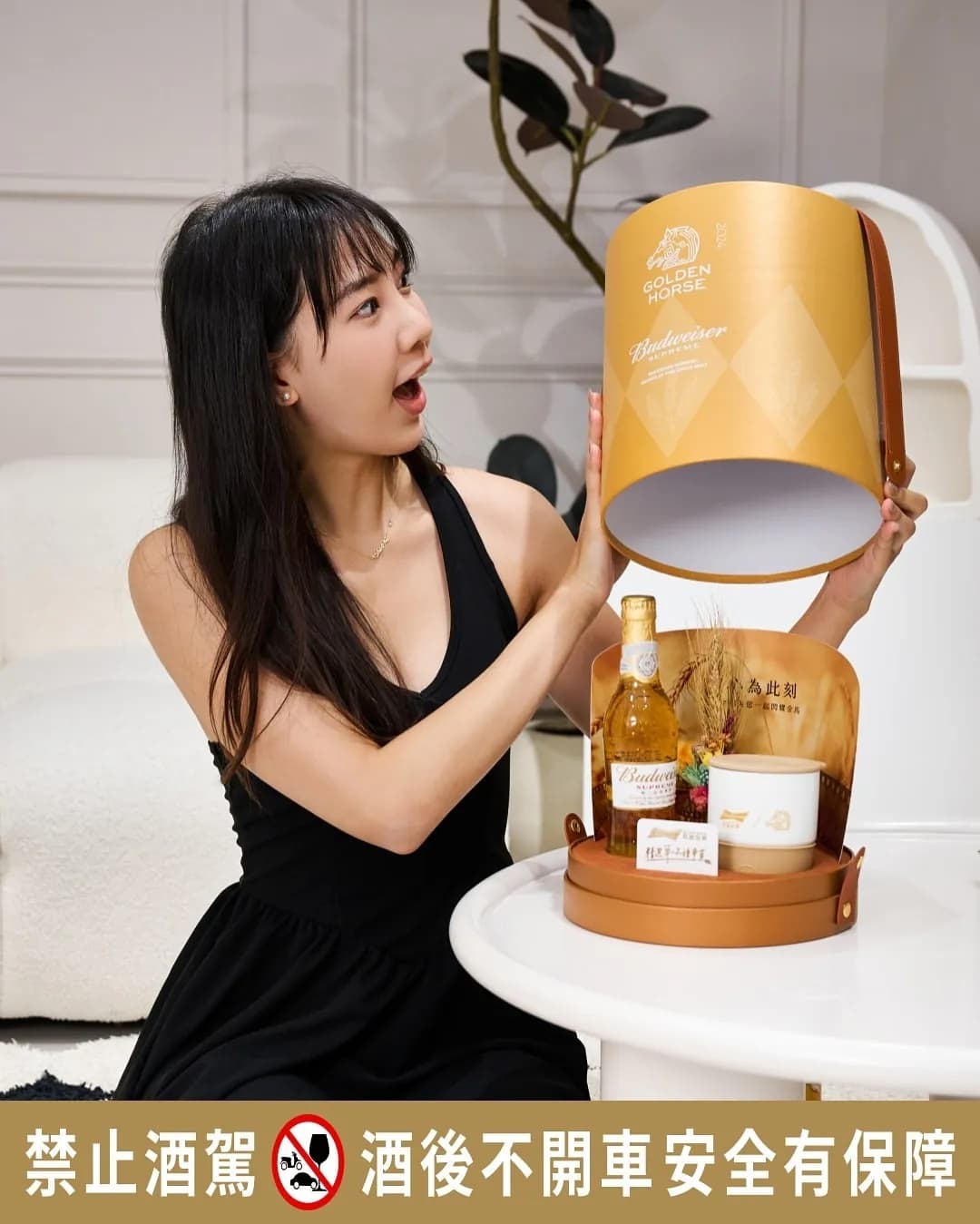 Ariel 艾庭 사진 7