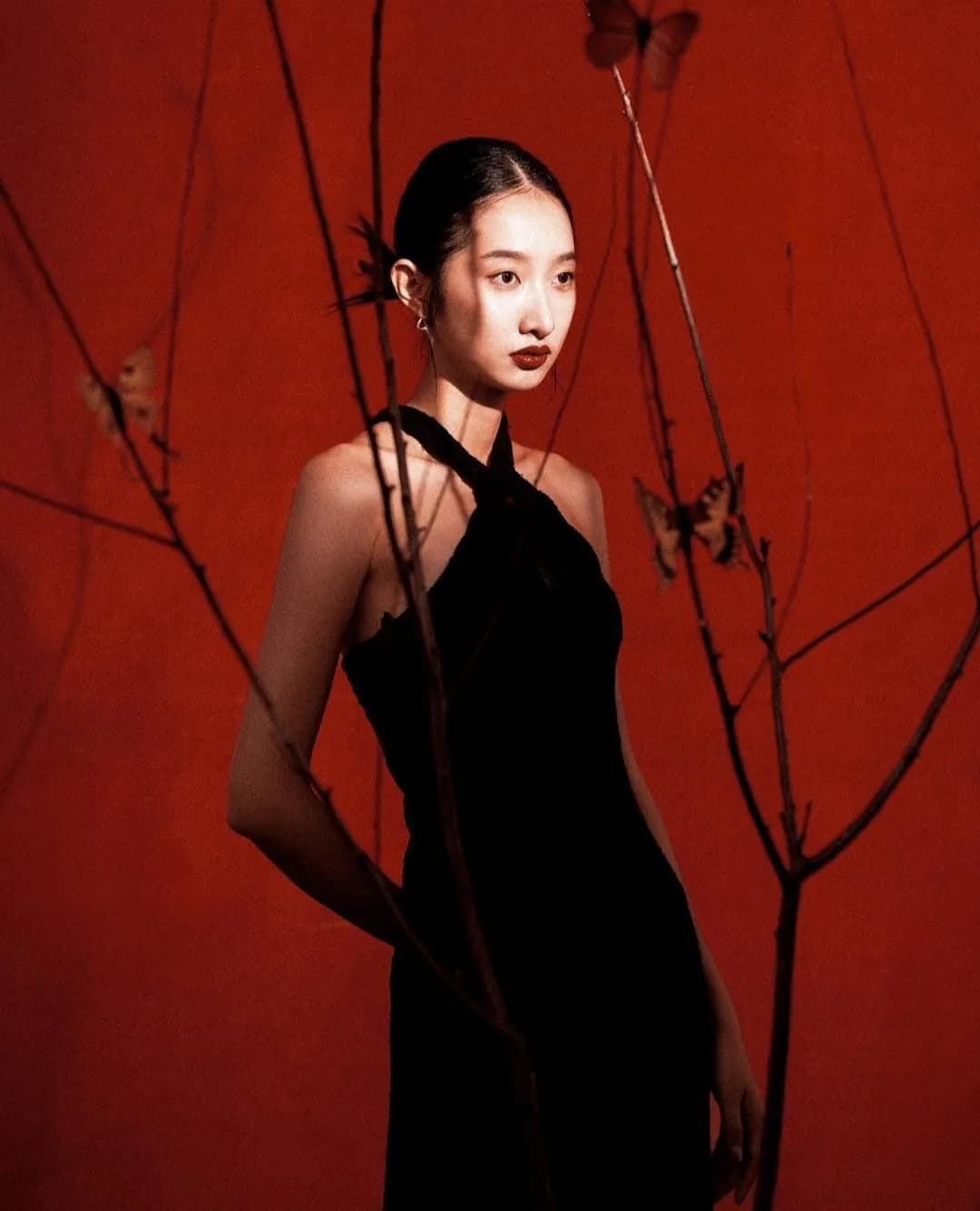 Jolene 劉丹 사진 8